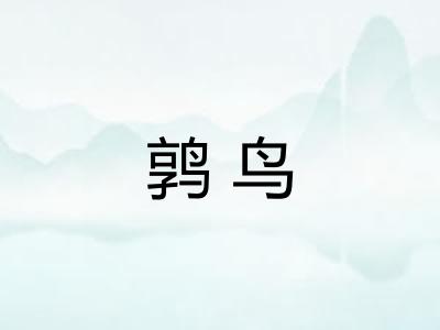 鹑鸟 鹑鸟