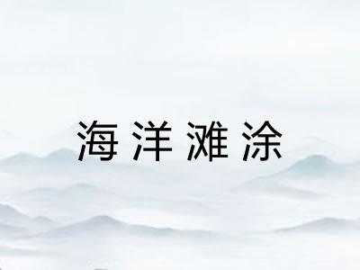 海洋滩涂 海洋滩涂