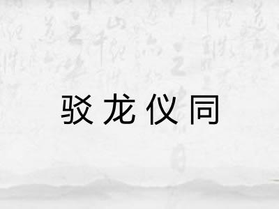 驳龙仪同 驳龙仪同