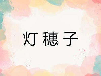 灯穗子 灯穗子