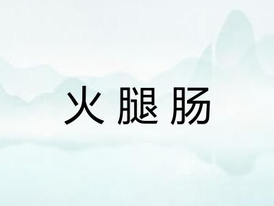 火腿肠 火腿肠