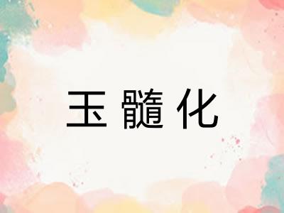 玉髓化 玉髓化