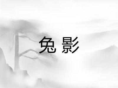 兔影 兔影
