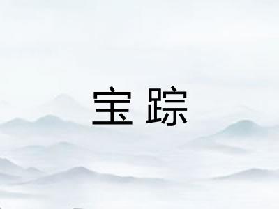 宝踪