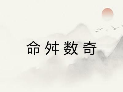 命舛数奇 命舛数奇