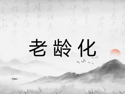 老龄化 老龄化