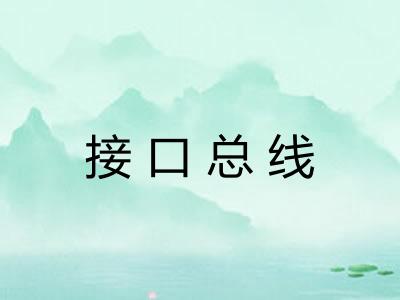 接口总线 接口总线
