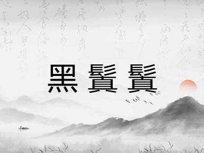 黑鬒鬒