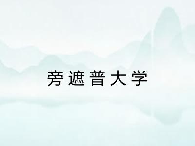 旁遮普大学