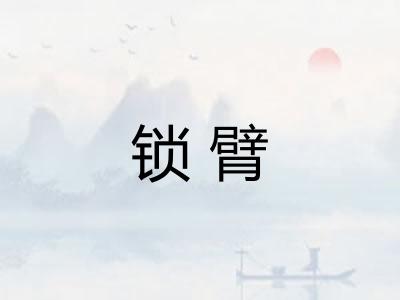 锁臂 锁臂