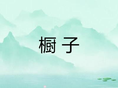 橱子 橱子