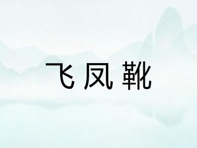 飞凤靴 飞凤靴