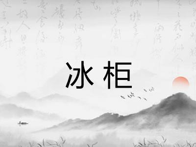 冰柜 冰柜