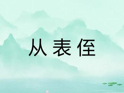 从表侄 从表侄