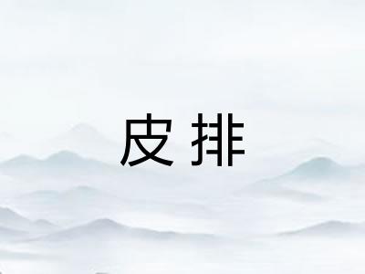 皮排 皮排