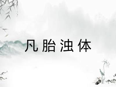 凡胎浊体 凡胎浊体