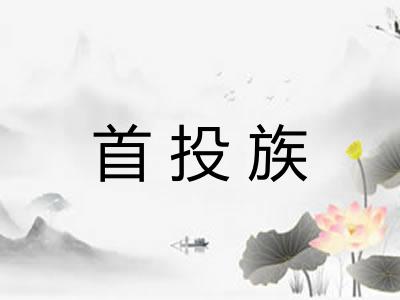 首投族 首投族