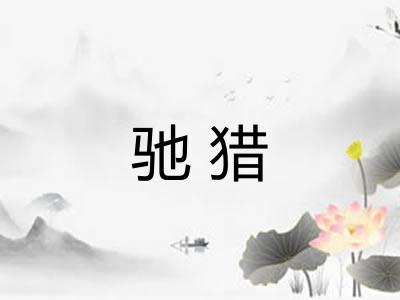 驰猎 驰猎