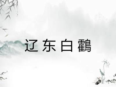 辽东白鸖 辽东白鸖