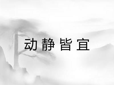 动静皆宜 动静皆宜