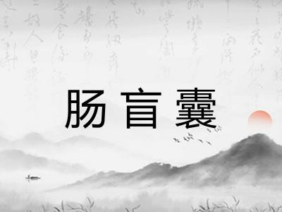 肠盲囊 肠盲囊