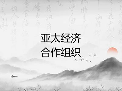 亚太经济合作组织 亚太经济合作组织