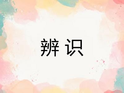 辨识 辨识