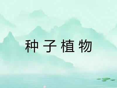 种子植物 种子植物