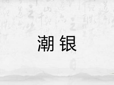 潮银 潮银