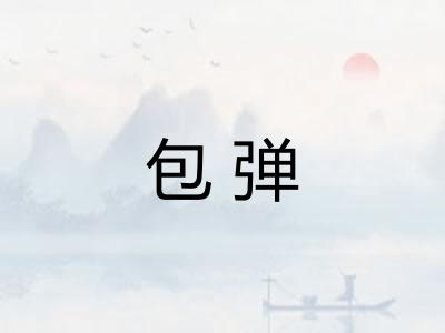 包弹 包弹