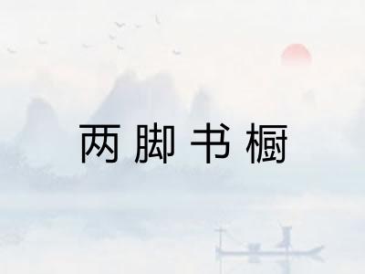 两脚书橱 两脚书橱