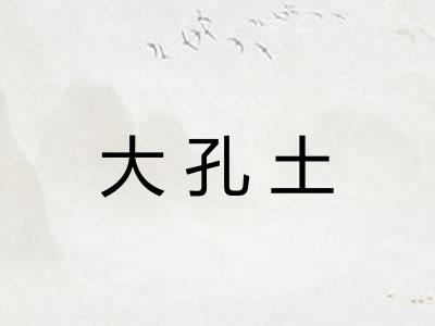 大孔土 大孔土