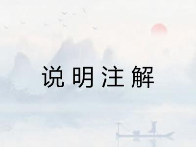 说明注解 说明注解