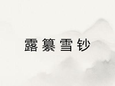 露纂雪钞 露纂雪钞