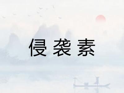 侵袭素 侵袭素