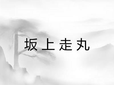 坂上走丸 坂上走丸