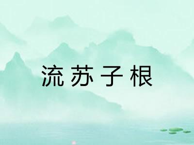 流苏子根 流苏子根