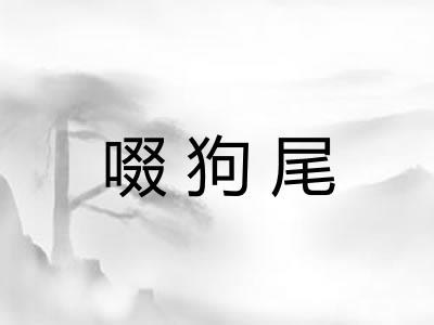 啜狗尾 啜狗尾