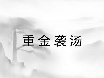 重金袭汤 重金袭汤