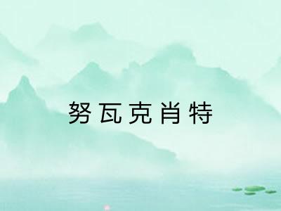 努瓦克肖特 努瓦克肖特