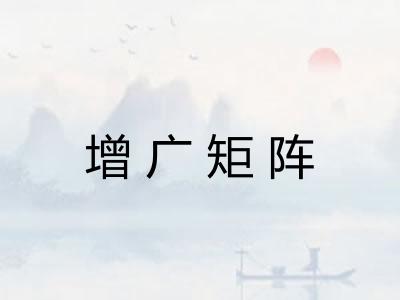 增广矩阵 增广矩阵