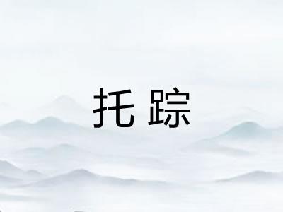 托踪