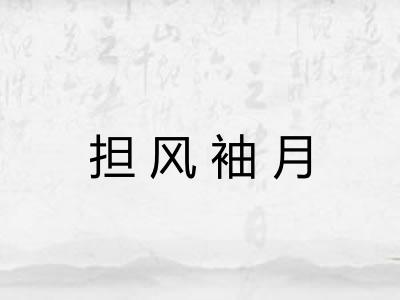 担风袖月 担风袖月