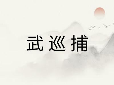 武巡捕 武巡捕