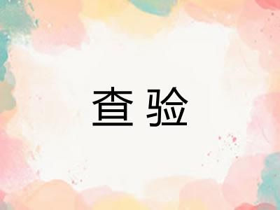 查验 查验